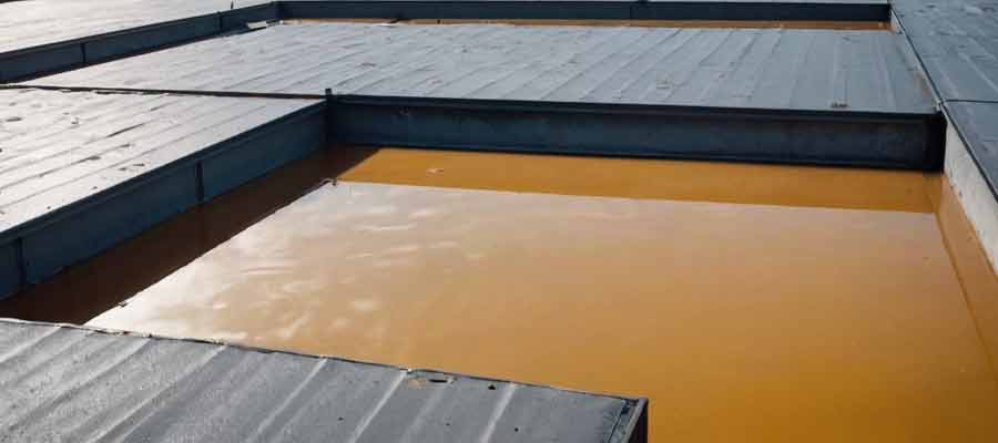 mold puddles on commercial roof